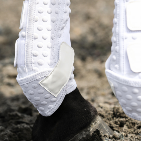 Guêtre dressage Equilibrium Nouvelle Version