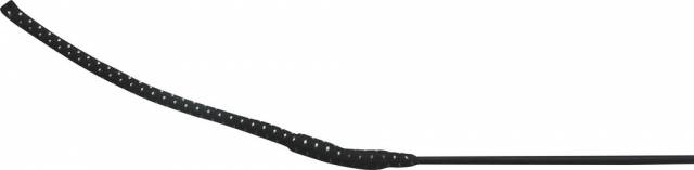 Stick dressage Whip and go Carbon