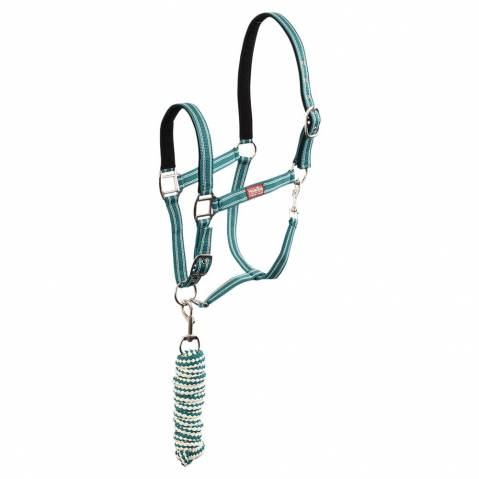 Licol &eacute;thologique doubl&eacute; + longe assortie - br - nylon