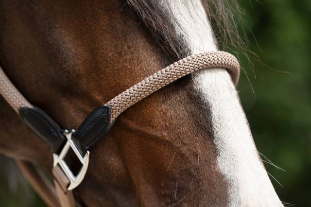 Licol carlotta - HKM - cuir et nylon