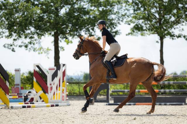 Tapis mixte Elisa HKM