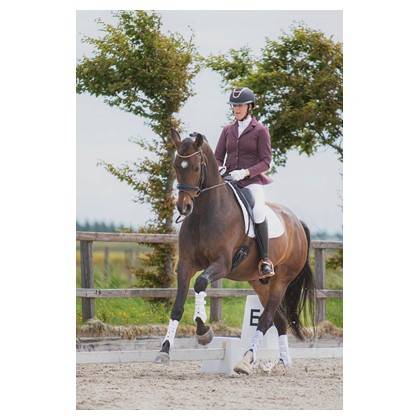 Veste concours Crystal Harrys horse