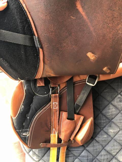 Selle Zaldi confort 18’’