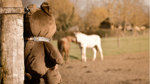 OSKKIO - Cam&eacute;ra de surveillance intelligente, nomade et sans abonnement