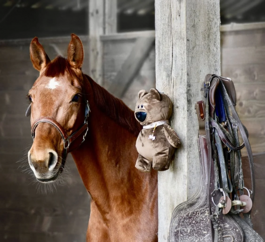 OSKKIO - Cam&eacute;ra de surveillance intelligente, nomade et sans abonnement