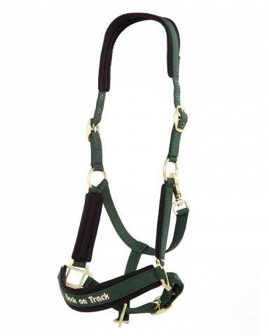 Licol Back On Track Werano