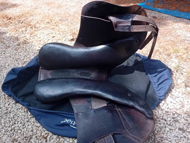 Selle monoquartier prestige 