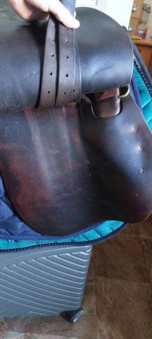 Selle de randonnée Forestier