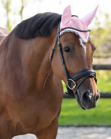 Bonnet à mouches color - QHP - Confort et maintien