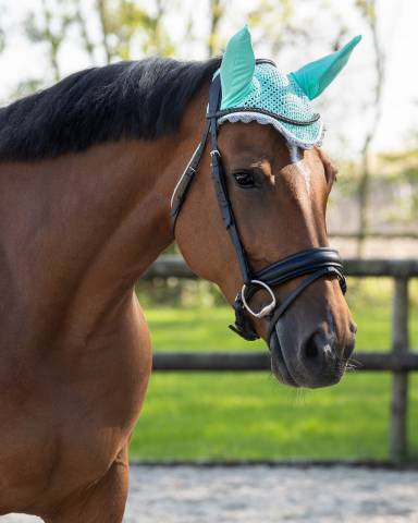 Bonnet à mouches color - QHP - Confort et maintien