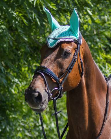 Bonnet à mouches color - QHP - Confort et maintien
