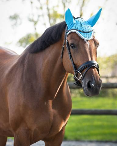 Bonnet à mouches color - QHP - Confort et maintien
