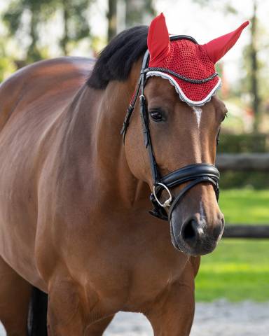Bonnet à mouches color - QHP - Confort et maintien