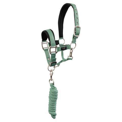 Licol et longe br mini horse - br - confort n&eacute;opr&egrave;ne