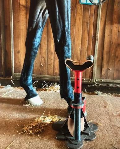 Trépied pour parage-maréchalerie