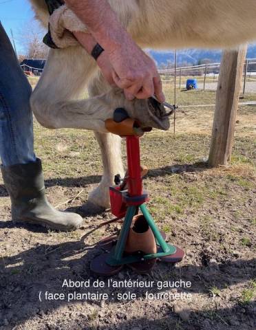 Trépied pour parage-maréchalerie