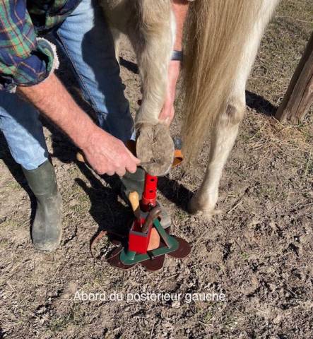 Trépied pour parage-maréchalerie