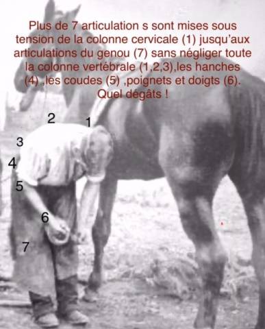 Trépied pour parage-maréchalerie