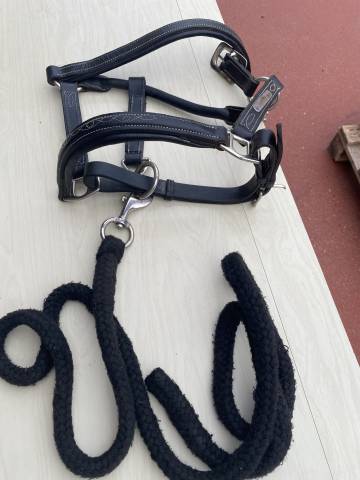 Licol en cuir