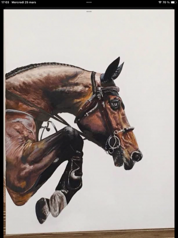 Tableau personnalis&eacute;, Horse Pilot , Cavalliera Toscana,