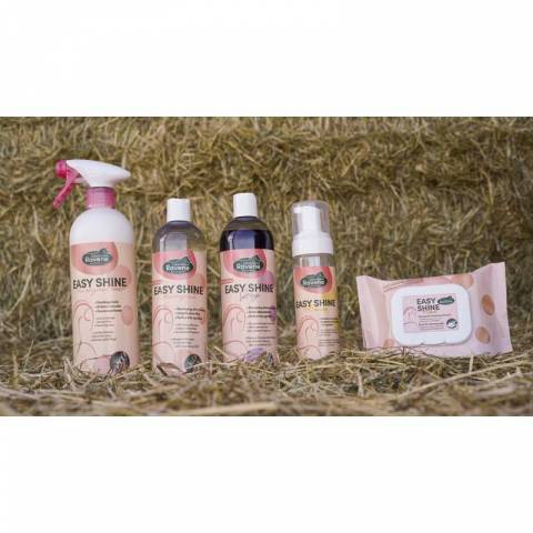 Shampoing Easy Shine Grey - Laboratoire Ravene