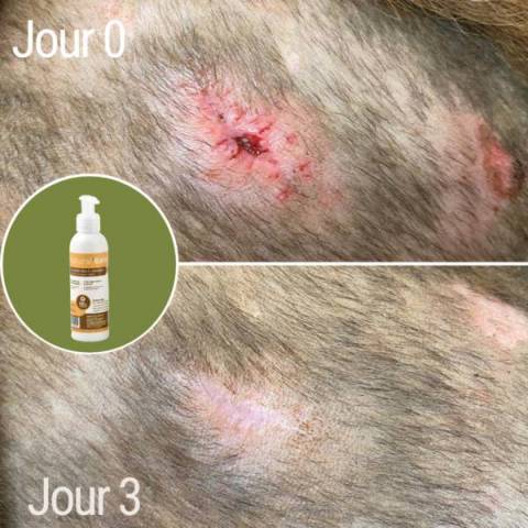 Crème désinfectante et cicatrisante Natural'Balm - Natural'Innov