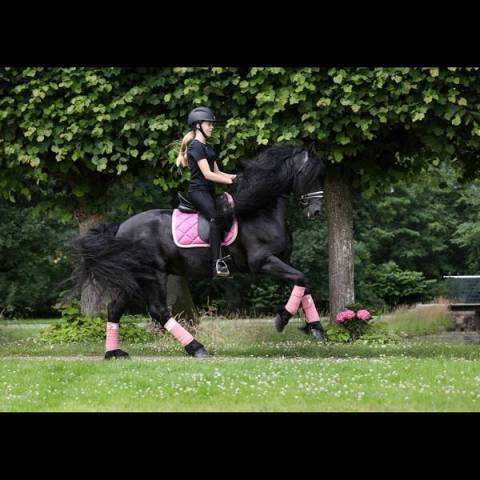 Tapis My Passion SD Design - Divine Rose