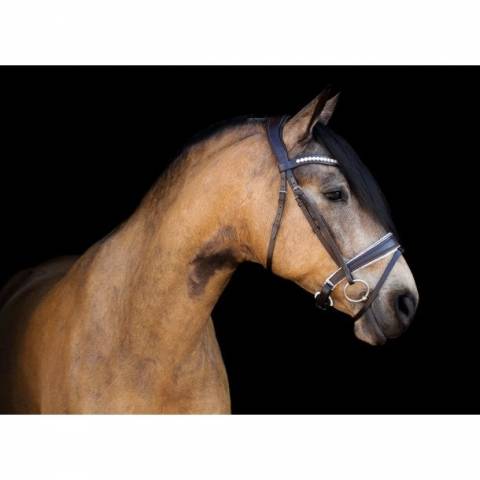 Muserolle CRYSTAL ROCKS marron/blanc - SD Design