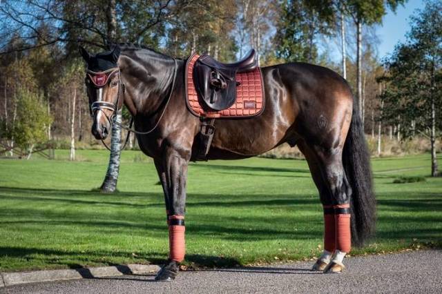 Tapis de selle Cinnamon Spice - Equito