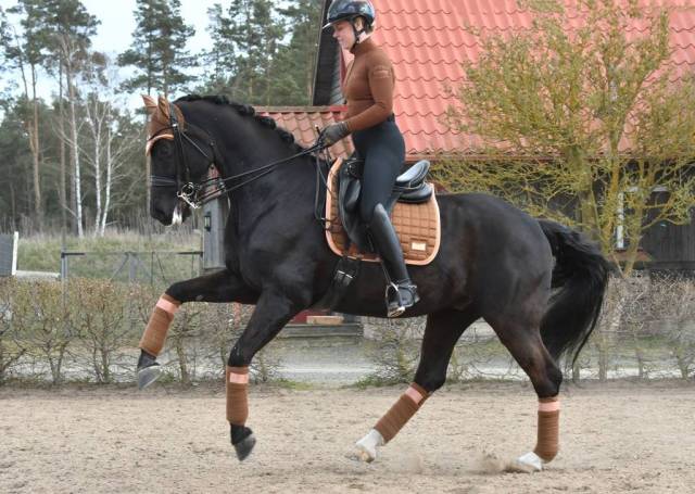 Polo Baselayer Rocky Road - Equito