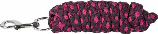 Longe WI21 - Harry's Horse