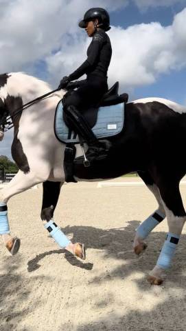 Tapis bleu ciel Morning Sky - Equito
