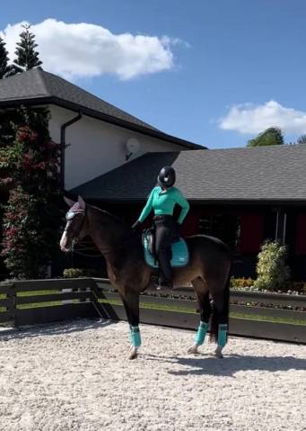 Tapis Frosty Mint - Equito