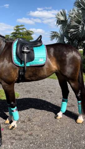 Tapis Frosty Mint - Equito