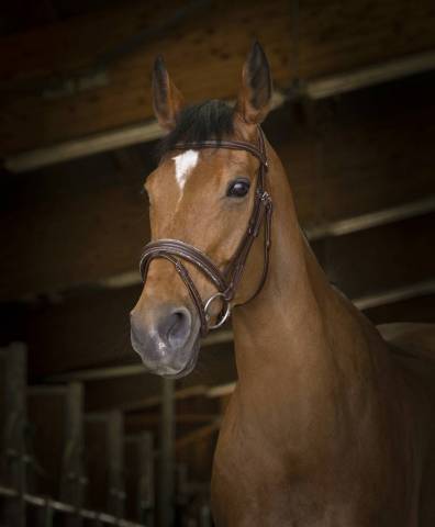 Bridon rock - Norton