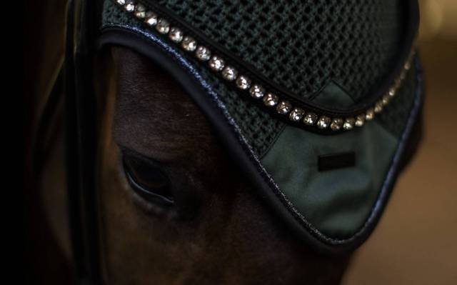 Bonnet anti-mouches Sycamore Green - Equestrian Stockholm