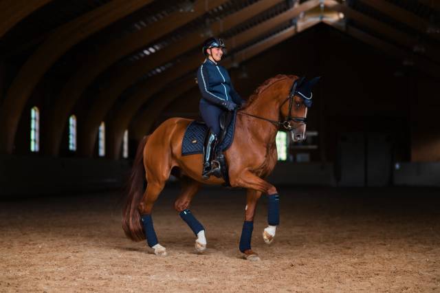 Tapis de dressage Modern Tech Navy - Equestrian Stockholm