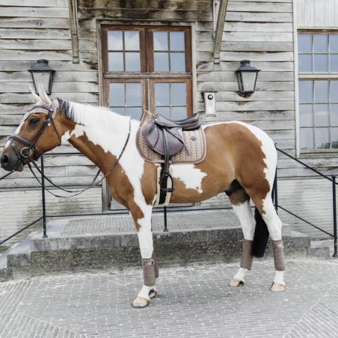 Tapis de selle Velvet Pearl Beige - KENTUCKY