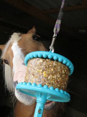 Bloc à lécher GRANOLA - LIKIT