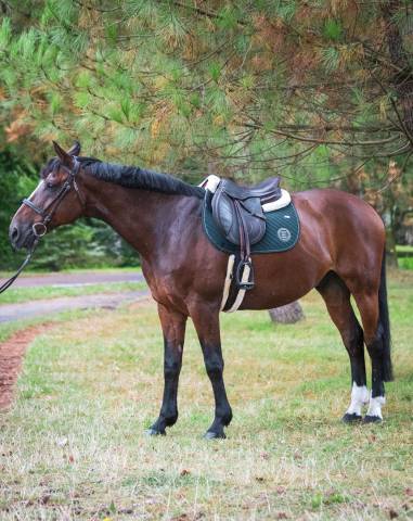 Tapis de selle SONY Vert Sapin - GEM