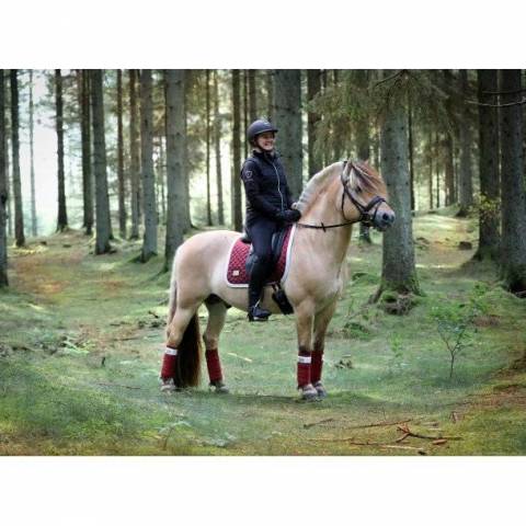 Bandes de polo BE TEMPTED Cherry Milkshake - SD Design