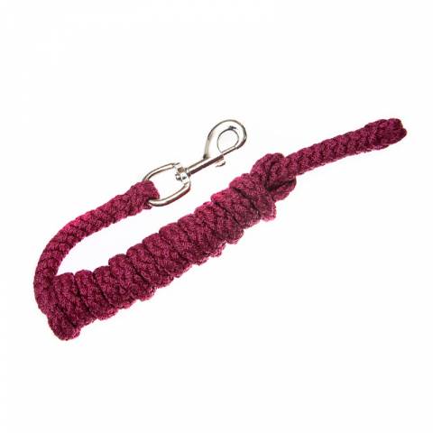 Longe avec mousqueton argenté Mattes