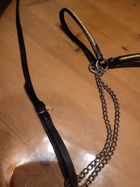 Licol de présentation taille cheval