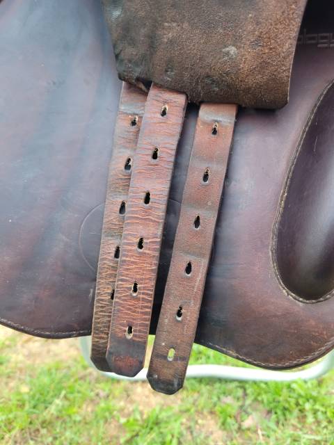 Selle prestige x meredith 