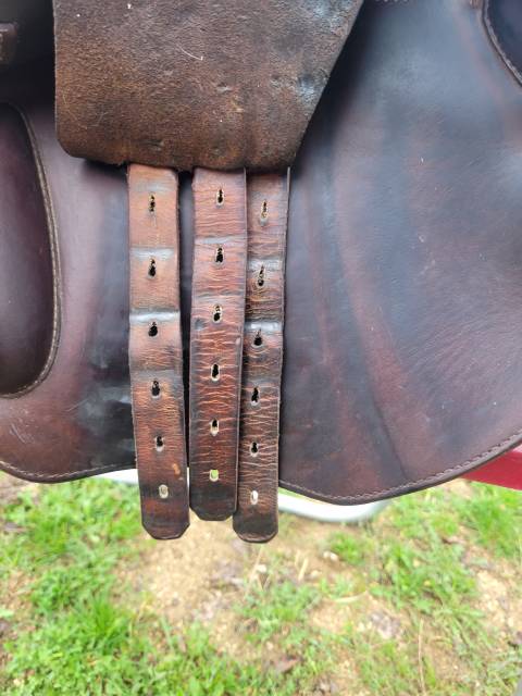 Selle prestige x meredith 