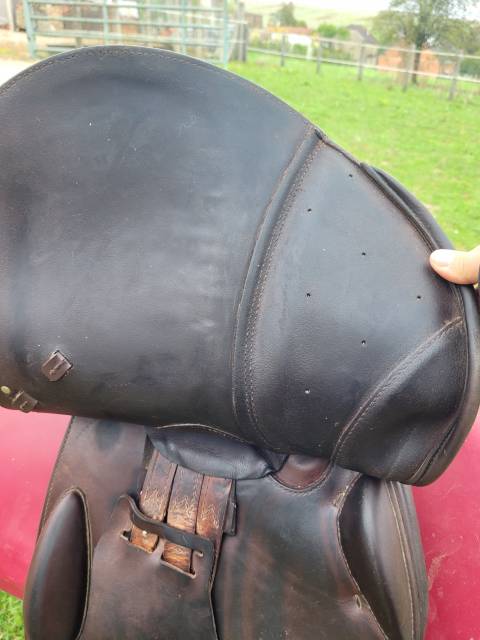 Selle prestige x meredith 