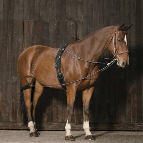 Enr&ecirc;nement &agrave; poulies Norton