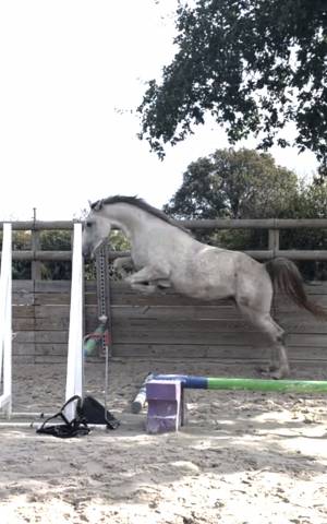 3 ans par cabrio z