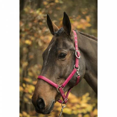 Licol LAMI-CELL LC Taille Cheval