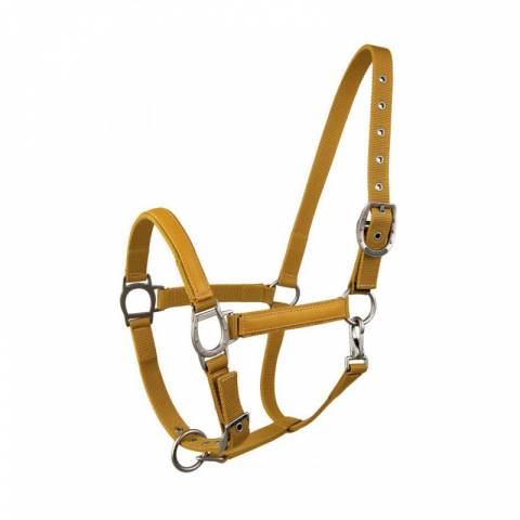 Licol LAMI-CELL LC Taille Cheval